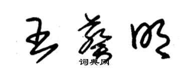 朱錫榮王葵明草書個性簽名怎么寫
