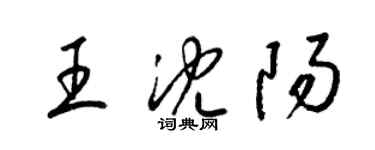 梁錦英王瀋陽草書個性簽名怎么寫