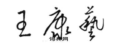 駱恆光王康藝草書個性簽名怎么寫