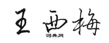 駱恆光王西梅行書個性簽名怎么寫