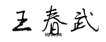 曾慶福王春武行書個性簽名怎么寫
