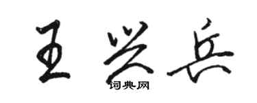 駱恆光王興兵行書個性簽名怎么寫