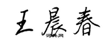 王正良王晨春行書個性簽名怎么寫