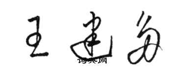 駱恆光王建多草書個性簽名怎么寫