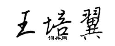 王正良王培翼行書個性簽名怎么寫