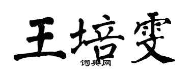 翁闓運王培雯楷書個性簽名怎么寫
