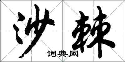 胡問遂沙棘行書怎么寫