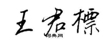 王正良王君標行書個性簽名怎么寫