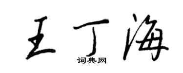 王正良王丁海行書個性簽名怎么寫