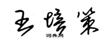 朱錫榮王培策草書個性簽名怎么寫