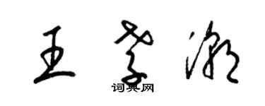 梁錦英王孝潮草書個性簽名怎么寫