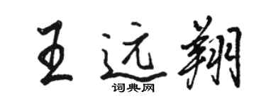 駱恆光王遠翔行書個性簽名怎么寫