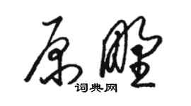駱恆光原野草書個性簽名怎么寫