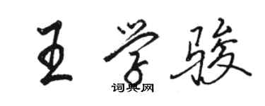 駱恆光王學駿行書個性簽名怎么寫