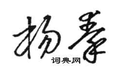 駱恆光楊秦草書個性簽名怎么寫