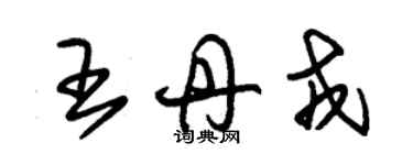 朱錫榮王丹戎草書個性簽名怎么寫