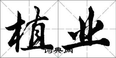 胡問遂植業行書怎么寫