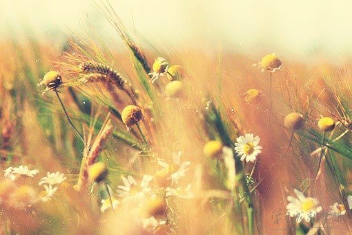 女生傷感說說短語_qq女生傷感說說