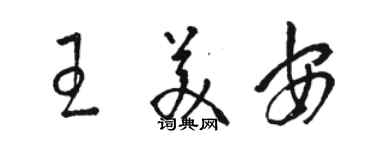 駱恆光王美安草書個性簽名怎么寫