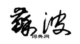 朱錫榮蘇波草書個性簽名怎么寫