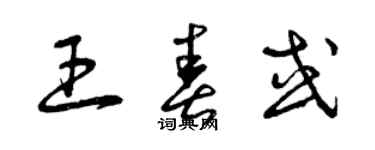 曾慶福王春或草書個性簽名怎么寫