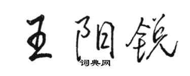 駱恆光王陽銳行書個性簽名怎么寫