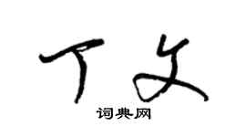 梁錦英丁文草書個性簽名怎么寫