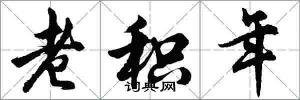 胡問遂老積年行書怎么寫