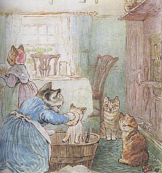 夾心布丁卷（5）