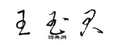 駱恆光王玉君草書個性簽名怎么寫