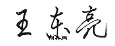 駱恆光王東亮行書個性簽名怎么寫