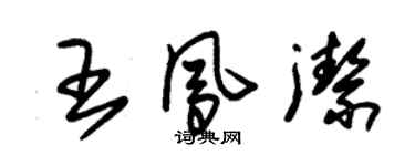 朱錫榮王鳳潔草書個性簽名怎么寫