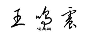 梁錦英王鳴震草書個性簽名怎么寫