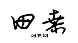 朱錫榮田桑草書個性簽名怎么寫