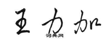 駱恆光王力加行書個性簽名怎么寫