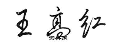 駱恆光王高紅行書個性簽名怎么寫