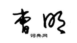 朱錫榮曹明草書個性簽名怎么寫