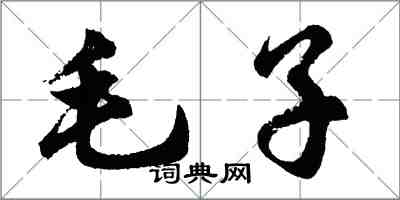 胡問遂毛子行書怎么寫