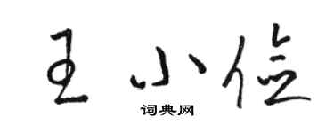 駱恆光王小儉草書個性簽名怎么寫