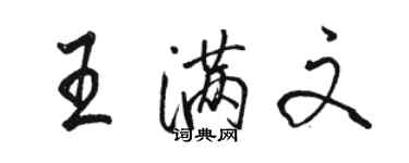 駱恆光王滿文行書個性簽名怎么寫