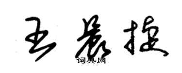 朱錫榮王晨捷草書個性簽名怎么寫