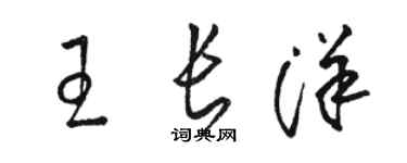 駱恆光王長洋草書個性簽名怎么寫