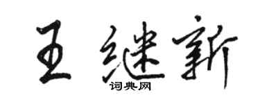 駱恆光王繼新行書個性簽名怎么寫