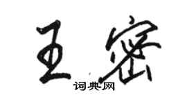 駱恆光王密行書個性簽名怎么寫