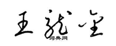 梁錦英王龍金草書個性簽名怎么寫