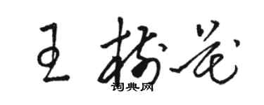 駱恆光王樹花草書個性簽名怎么寫