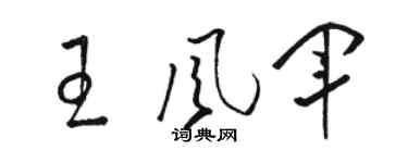 駱恆光王風軍草書個性簽名怎么寫