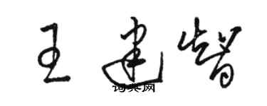 駱恆光王建智草書個性簽名怎么寫