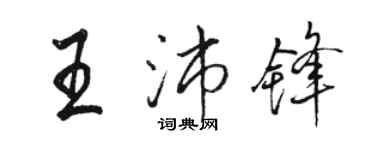 駱恆光王沛鋒行書個性簽名怎么寫