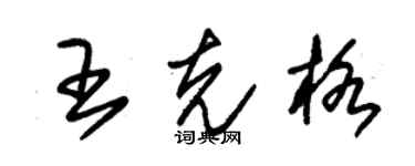 朱錫榮王克格草書個性簽名怎么寫